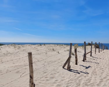 Strand in Zandvoort
