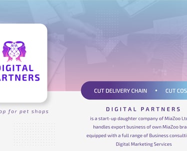 digital-partners-miazoo-portfolio-presentation-slide-2