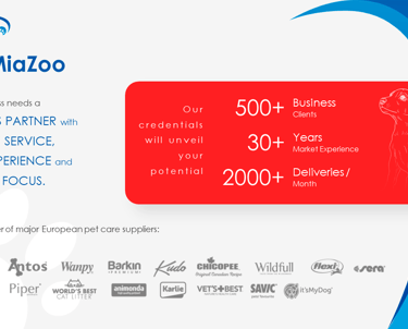 digital-partners-miazoo-portfolio-presentation-slide-3