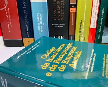 Livros de Direito da Insolvncia Livro Loide Castelo Branco Advogada