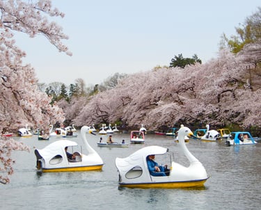 Inokashira Park