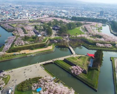 Goryokaku in Hakodate in sakura season