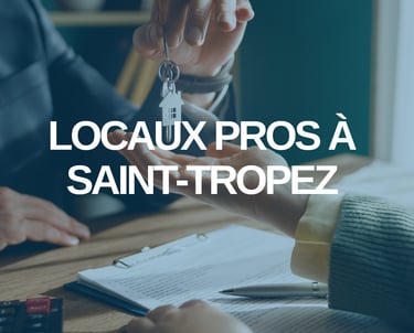 Vente locaux professionnel 