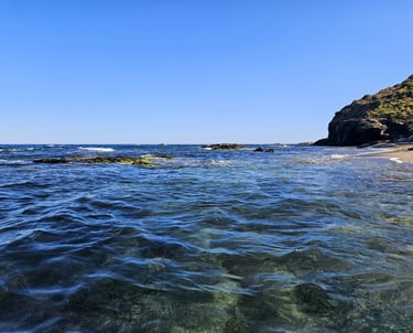 Breathtaking Boat Trips
