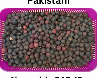 fresh falsa available in qatar