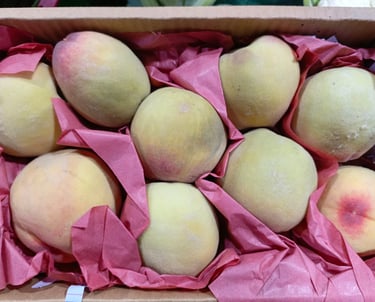 fresh peach available in qatar