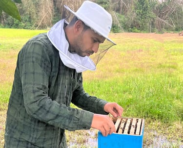 beekeeper from Nilgiris forest background green and yellow 