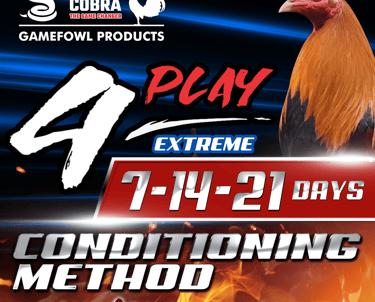 Pit Cobra 4Play Extreme Conditioning Method