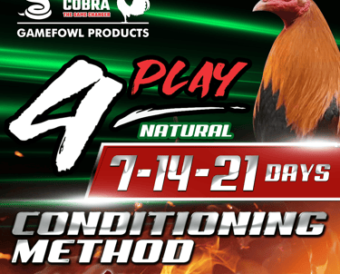 Pit Cobra 4Play Natural Conditioning Method