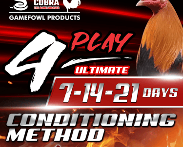 Pit Cobra 4Play Ultimate Conditioning Method