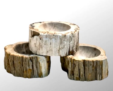 Petrified Wood bowls as Catchalls or Vide Poche