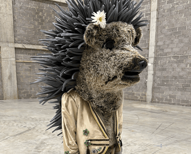 Teminė kaukė, ežiuko kostiumas, mascot apranga