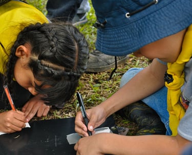 Grupo Scout Independiente