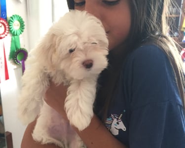 balu