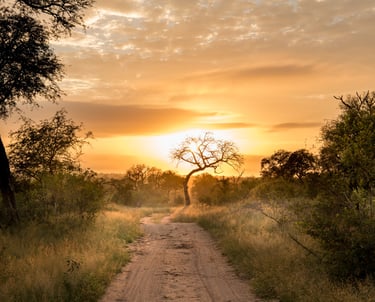 responsible tourism, kruger national park, sunrise