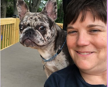 Mobile dog nail trimming in Clifton Park NY