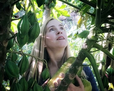 food forest new zealand