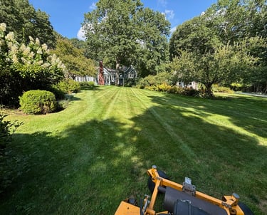 lawn-maintenance-in-north-shore-residential-yard