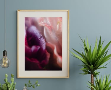 a framed photograph of a framed photograph of a flower
