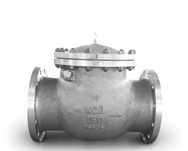Conventional Check Valve manufacturer in China