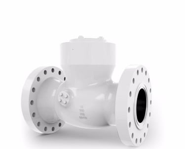 Pressure Seal Check Valve manufacturer in China