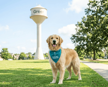 Scoopy the Mascot for Local Scoopers Dog Waste Removal in Greer, SC
