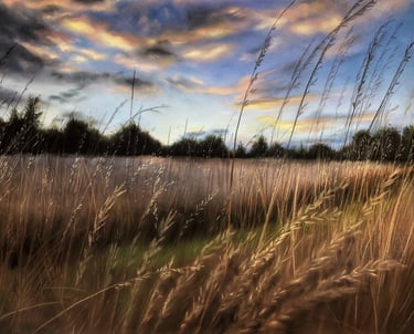 Soft pastel fine art landscape painting of a windswept field with tall golden grass.