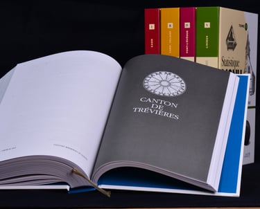 Page d'introduction au chapitre consacré au canton de Trévières