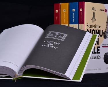 Page d'introduction au chapitre consacré au canton de Livarot