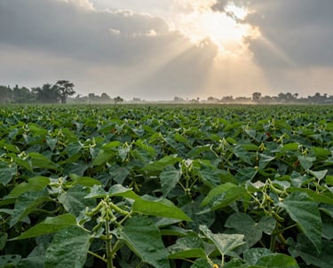 Close-up of fresh, vibrant crop seeds spilling from a rustic burlap sack.