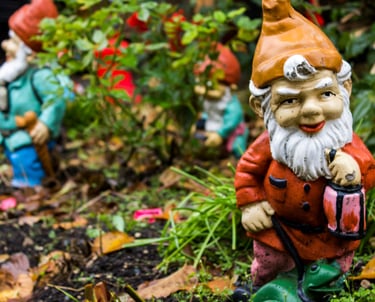 Whimsical woodland garden with ferns, shade plants, and decorative gnomes in a natural WNY landscape