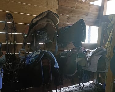 sellerie-chevaux-poneys