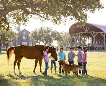 Lone Star Rescue Ranch is being built near Brenham, Texas