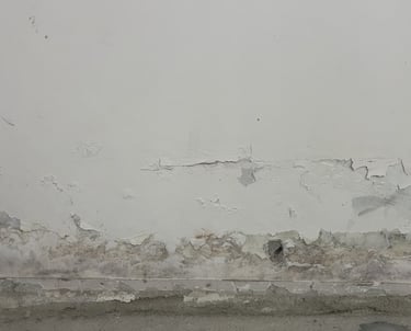 nemli ve rutubetli duvar