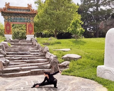 taichi strength softness flexibility