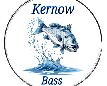Kernow Bass Image