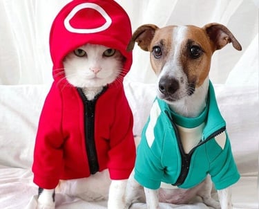 gato blanco con sudadera roja de guardia de Squid Game sentado junto a perro con chándal verde