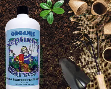 Neptune's Fish & Seaweed Blend Fertilizer