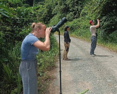 a visitor is observing an orang-utan with a telescope