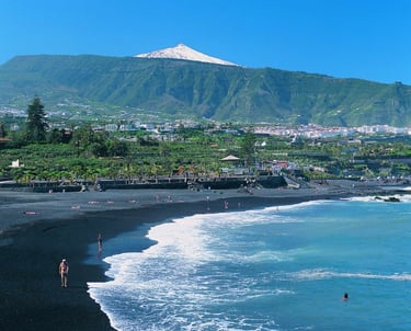 Playa Jardín