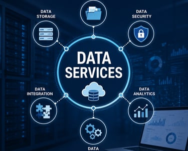 Why Choose Data Services Solution