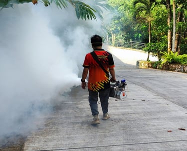 Dumaguete pest control technician performing mosquito fogging with professional equipment