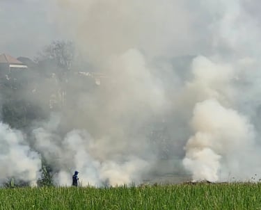 contaminación en mi barrio 2026