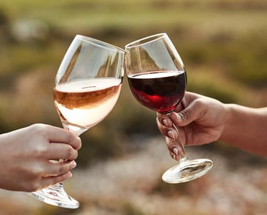 Caminos del vino en San Rafael Mendoza