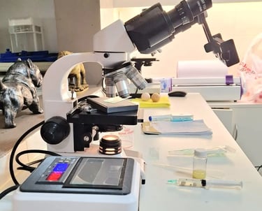 Procedimiento de inseminación artificial en laboratorio veterinario