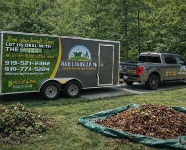 Yard clean up service in Garner NC