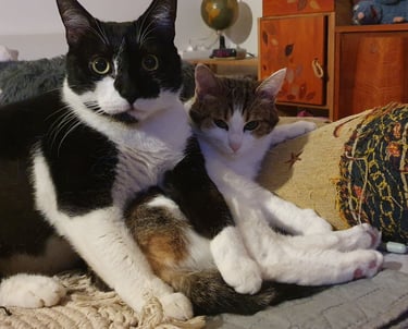 Minou the boss and the one who loves him, Titi La Belle!