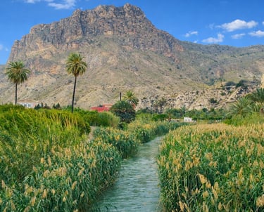 The Segura River as it passes through the Ricote Valley