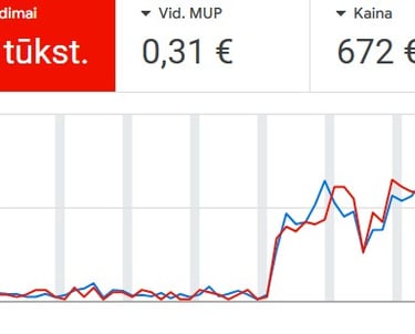 google ads administravimo pavyzdys