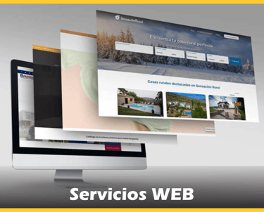 Servicios de diseño, desarrollo y mantenimiento de páginas web profesionales.